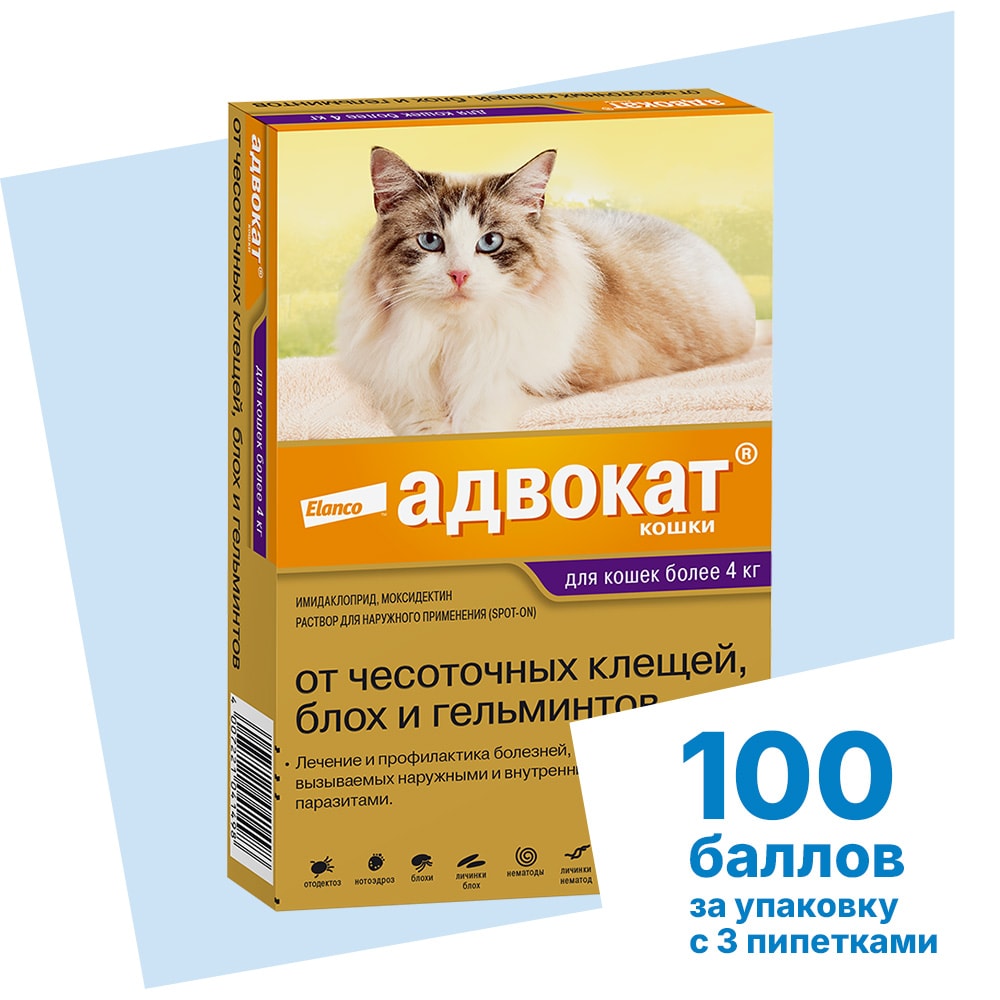 Адвокат®