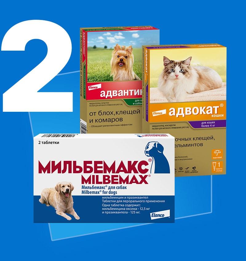 Продавайте